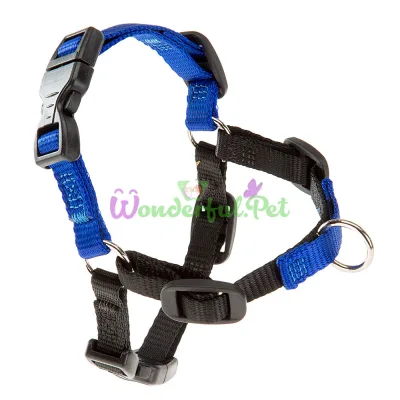 Шлейка Ferplast Coach P M Harness Blue для дрессировки A: 20x26 см B: 42x59 см