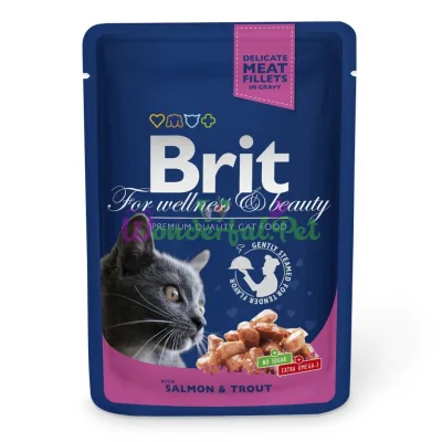 Вологий корм Brit Premium Salmon Trout pouch 100 г