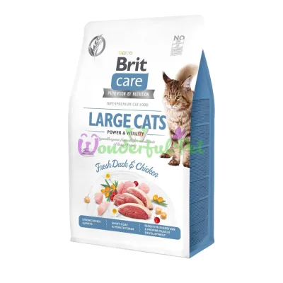 Сухой корм Brit Care Cat GF Large cats Power Vitality 400 г