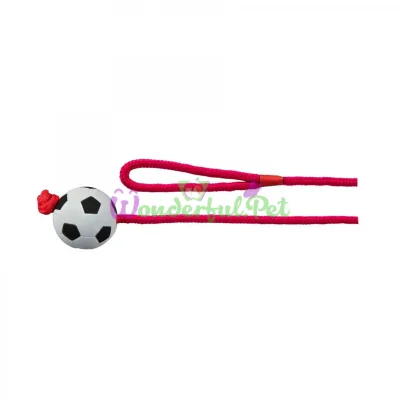 Trixie Ball on Rope with Handle 1 m, d=6 cm (foam rubber)