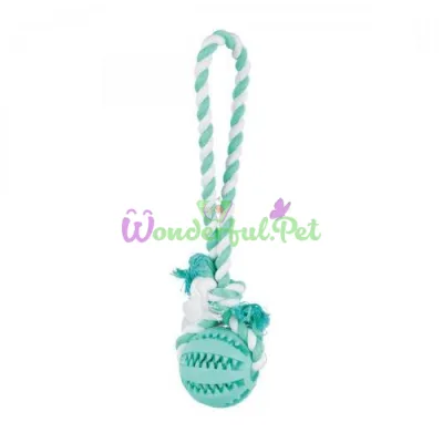 Trixie Denta Fun Ball on Rope with Handle 24 cm, d=7 cm (rubber)