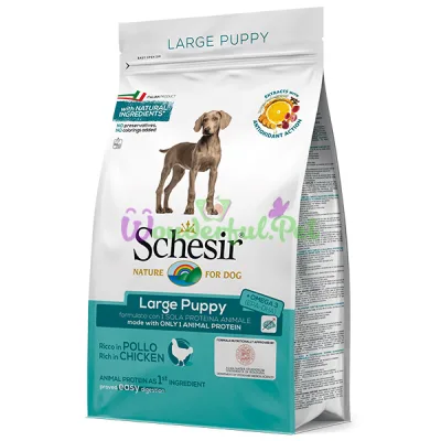 Сухой корм Schesir Dog Large Puppy Chicken 3 кг