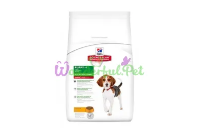 Сухой корм Hills Science Plan Canine Healthy Development Puppy Medium Breed Chicken 12 кг