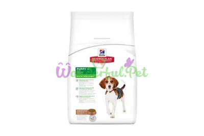 Сухой корм Hills Science Plan Canine Healthy Development Puppy Medium Breed Chicken Lamb Rice 12 кг