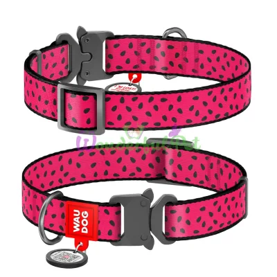 Ошейник WAUDOG Nylon с QR паспортом, рисунок Арбуз, металлическая пряжка-фастекс 15 мм 23-35 см Нейлон Разноцветный