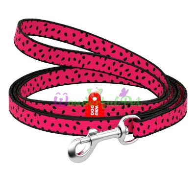 Поводок WAUDOG Nylon, рисунок Арбуз 10 мм x 122 см Нейлон Разноцветный