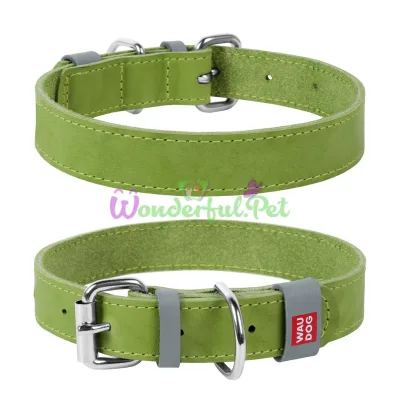 WAUDOG Classic Collar M 25 mm 38-49 cm Leather Lime