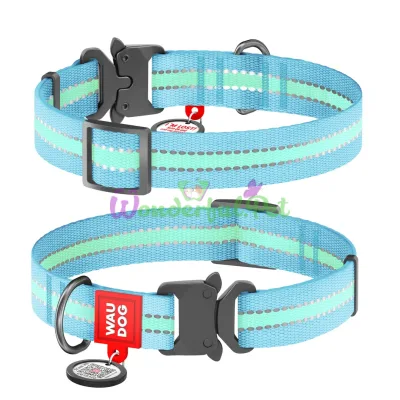 Ошейник WAUDOG Nylon с QR паспортом, светящийся, металлическая пряжка-фастекс 20 мм 24-40 см Нейлон Голубой