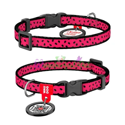 Ошейник WAUDOG Nylon с QR паспортом, рисунок Арбуз, пластиковый фастекс XS 10 мм 20-30см Нейлон Разноцветный