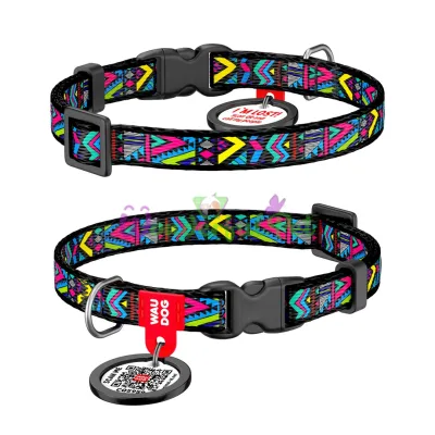 Ошейник WAUDOG Nylon с QR паспортом, рисунок Инди, пластиковый фастекс XS 10 мм 20-30см Нейлон Разноцветный