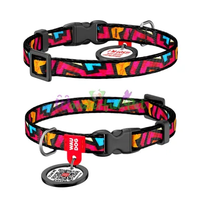 Ошейник WAUDOG Nylon с QR паспортом, рисунок Граффити, пластиковый фастекс XS 10 мм 20-30см Нейлон Разноцветный