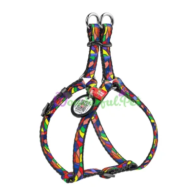 Шлея WAUDOG Nylon с QR паспортом, рисунок Витраж 10 мм ОГ 28-40 см ОШ 28-40 см нейлон Разноцветный