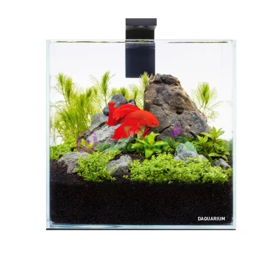 Аквариумный набор AquaLighter PicoSet, 5л