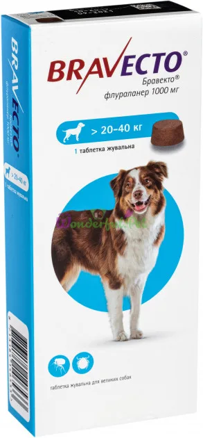 MSD Bravecto 20–40 kg 1000 mg Chew