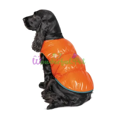Жилет для собак Pet Fashion Spring M оранжевый