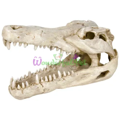 Декорация для аквариума Trixie-8712 Crocodile Skull Череп крокодила 14 см