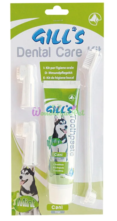 GILLS Mint Toothpaste with 3 Brushes Set, 100 g
