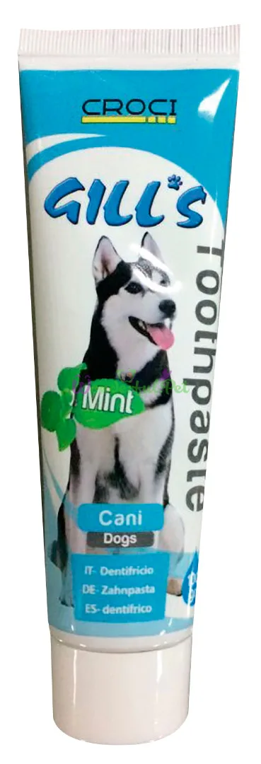 GILLS Mint Toothpaste for Dogs, 100 ml