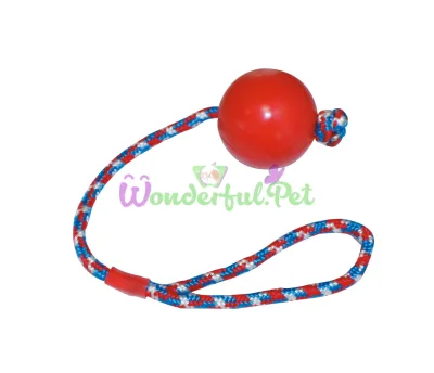 CROCI Rubber Ball on Rope Dog Toy 6.5 cm