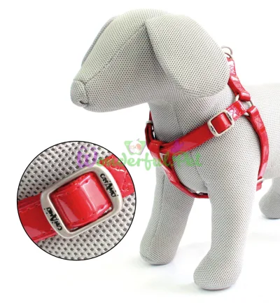 GLOSSY Harness (Patent Faux Leather + Nylon), Red 36–60 x 1.5 cm
