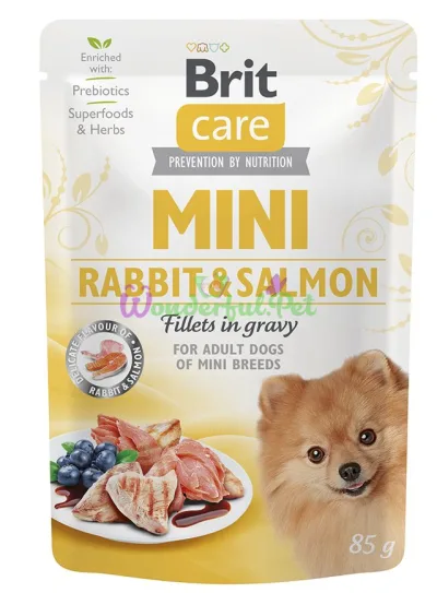 ΠΠ»Π°ΠΆΠ½ΡΠΉ ΠΊΠΎΡΠΌ Brit Care Dog Mini Rabbit salmon 85 Π³