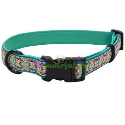 Ошейник для собак Coastal Ribbon Weave Collar КОСТАЛ РИББОН ВЕЙВ темно-бирюзовый с косточками XS 1.6 х 20-30 см