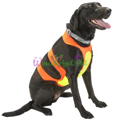 Нагрудная защита для охотничьих собак весом 28-39 кг Coastal for Hunting Dogs Chest Protector L оранжевый