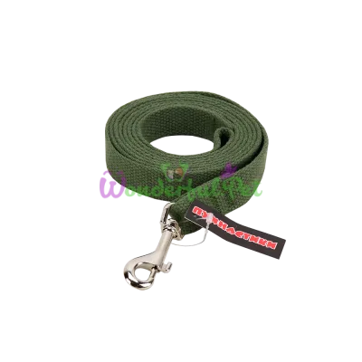 Pukhnastyky Canvas Dog Leash, Green 20 mm 2 m