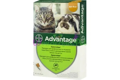 Bayer Advantage Cat Drops Pack of 40