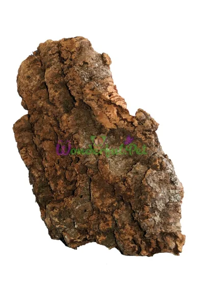 Декорация коряга PIATTA, плоска, 25х35 см