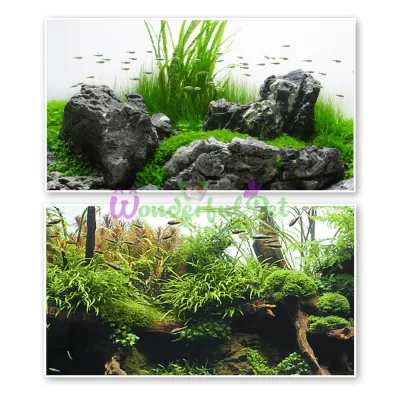 Фон двусторонний AMAZONIA, 30 см х 15 м (рулон)