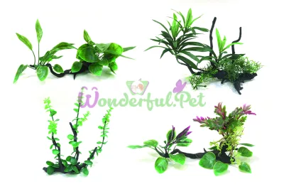 Рослини в асортименти WONDER DRIFTWOOD SERIES 25-30 см