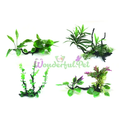 Рослини в асортименті WONDER DRIFTWOOD SERIES 25-30 см