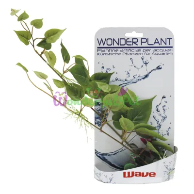 Рослини в асортименти WONDER SERIES D, штучна., 25-40 см