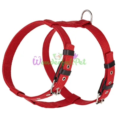 Шлея Before KARELINE Red 640 6 А:420-520 мм В:570-670 мм 20 мм