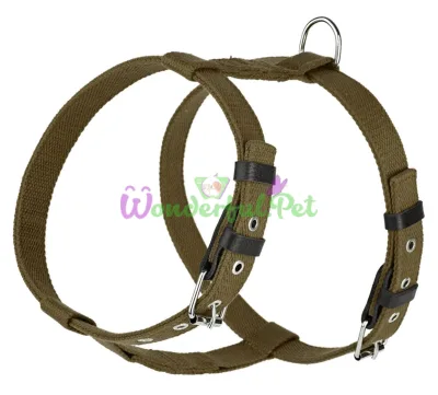 Шлея Before KARELINE Green 641 5 А:500-620 мм В:630-750 мм 25 мм