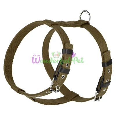 Шлея Before KARELINE Green 641 5 А:500-620 мм В:630-750 мм 25 мм