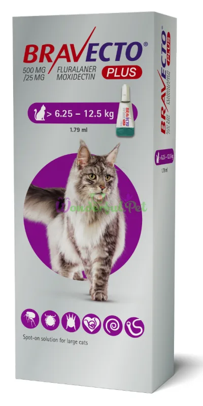 Краплі Bravecto Plus Spot-on Cat 6,25-12,5 кг