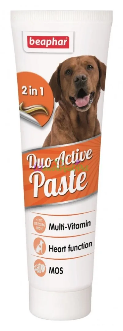 Beaphar Dog Duo Active Paste 100 g