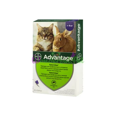 ΠΠ°ΠΏΠ»ΠΈ Bayer Advantage Cat β80 ΡΠΏΠ°ΠΊΠΎΠ²ΠΊΠ°