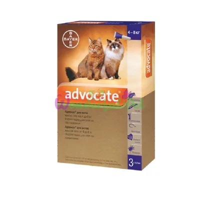 Bayer Advocate Drops for Cats 4-8 kg Pack