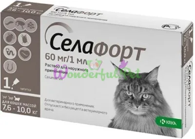 KRKA Selafort Cat 60 mg Spot-On 7.6-10 kg 1 pc