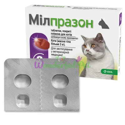 KRKA Milprazon Cat 2-8 kg 16 mg, 2 tablets