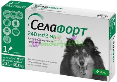 KRKA Selafort Dog Selafort 240 mg 20.1-40 kg No. 1
