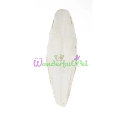 Fantasia Cuttlefish Bone Mineral for Birds (No Holder), 22-25 cm