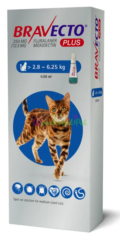 Краплі Bravecto Plus Spot-on Cat 2,8–6,25 кг