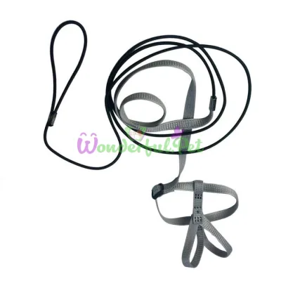 Шлея для папуги Adventure Bird harness Medium grey 9.5x199 см