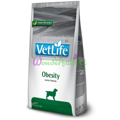 Сухой корм Farmina Vet Life Dog Obesity 2 кг