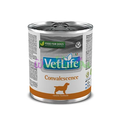 Farmina Vet Life Dog Convalescence Wet Food 300 g