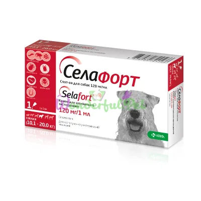 KRKA Selafort Dog 120 mg for 10-20 kg, 1 pipette